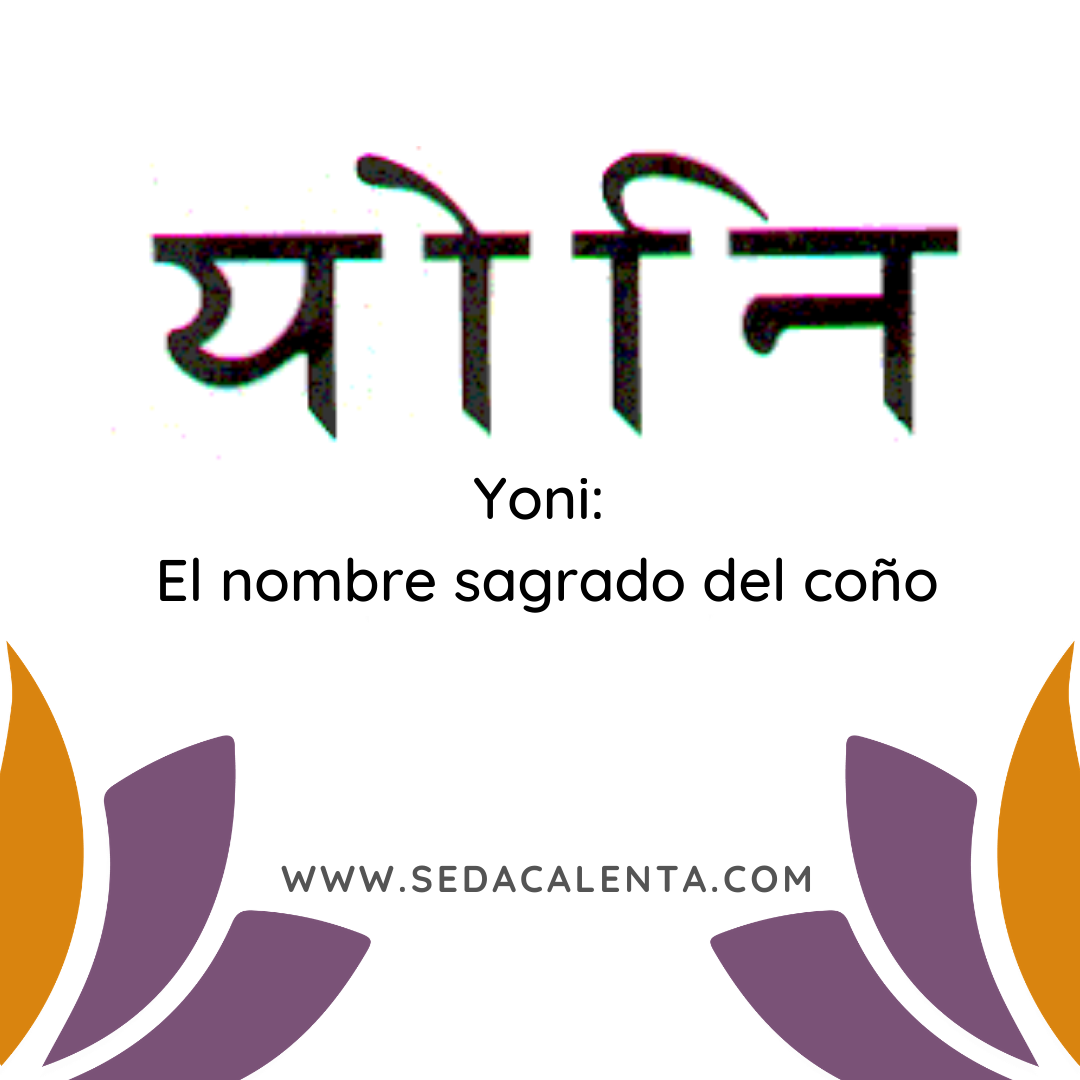 Reflexiones de mi coño